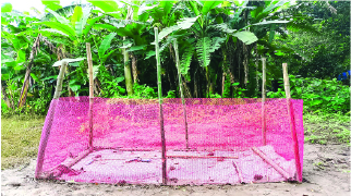 Image of মো: মোস্তফা